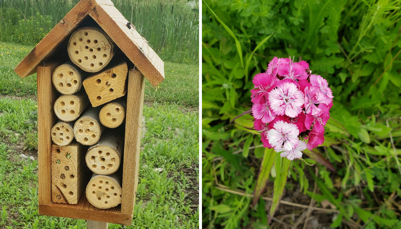 Left : Wooden Bee house Right: Pink Flower with green leaves in background