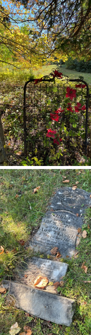 Metal gate covered in flowers and a tombstone on the ground