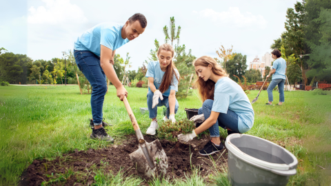 3 People planting trees