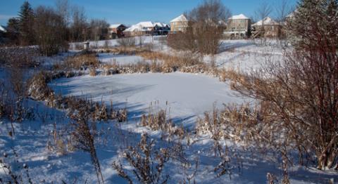 snow-covered stormwater management pond near a neighbourhood