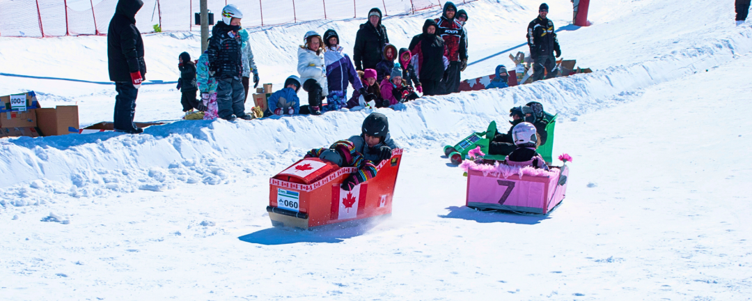 kids in cardboard toboggans sliding down the hill at the ROC