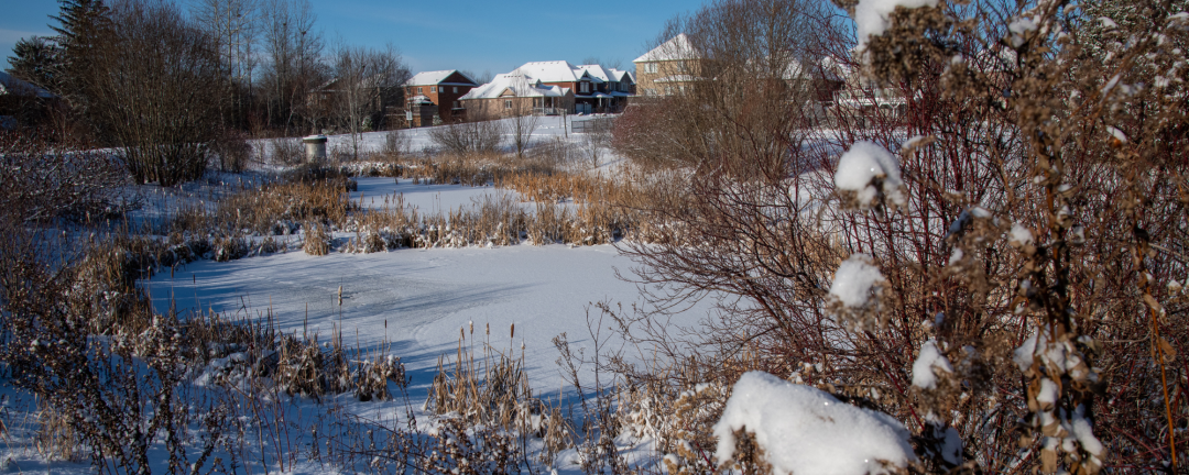 stormwater pond in winter covered in snow